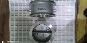 Dual Plate Check Valves