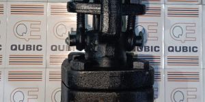 Forged Valves