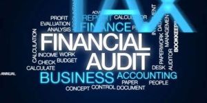 Audit Taxation Service