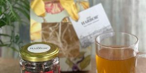 Old Harbor Gift Tea Bag Pack of 3