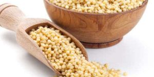 Sorghum Millet