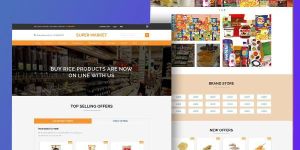 Website Development Services