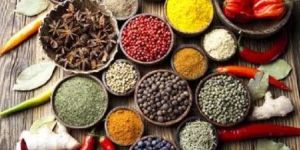 Indian Organic Spices