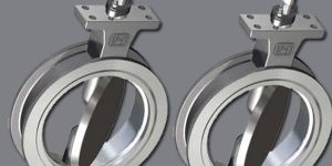 Duplex Butterfly Valves