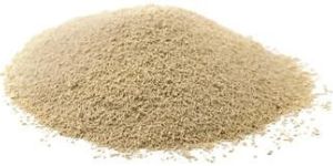 Dry Yeast for Animal Feed