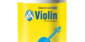 Violin Plant Growth Regulator