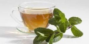 Peppermint Leaves Tea Bag Cut