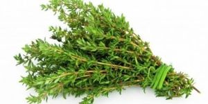 Thyme Leaves