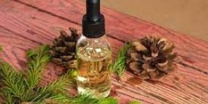 Pine Oil 35 Plus
