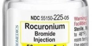 Rocuronium Bromide 50mg Injection