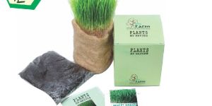 PMN Jute Bag Kit ( Small )