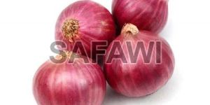 Fresh Red Onion