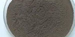 Verticillium Leccani Lignite Based Biopesticide