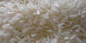 Swarna Rice