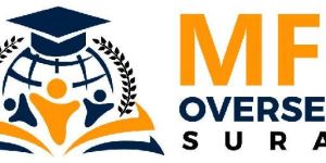 Visa Consultancy Service