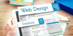 Web Development Service