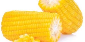 Corn Cobs