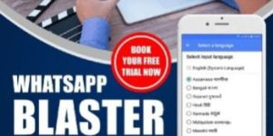 Bulk Whatsapp Marketing