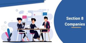 Section 8 Company Registration Services