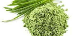 Organic Wheat Grass Powder