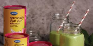 Spreadable Agar Agar Type Wondergel 30