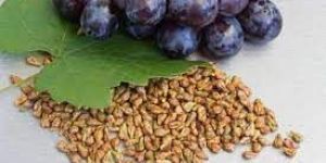 Organic Black Grapes Seeds