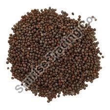 Black Mustard Seeds