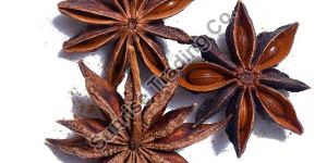 Star Anise