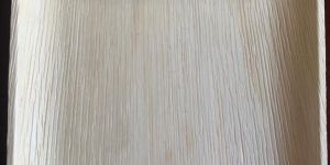 Square Areca Leaf Plate