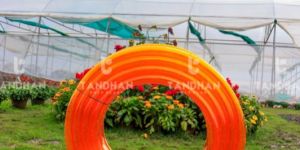 Hose And Garden Pipe