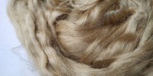Tussar Silk Sliver Tops Fiber