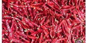 Dried Red Chili