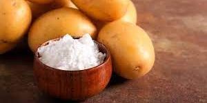 Potato Starch Powder