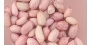 Tcgs 1694 Groundnut Seed