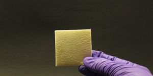 Collograft-B Dry Collagen Sheet