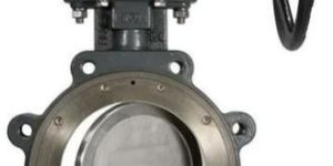 Butterfly Valve Casting