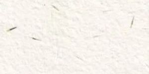 Plantable Marigold Seed Paper