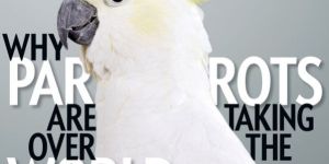 Scientific American Magazine