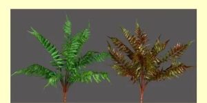 Rubber Sperigras Bunch