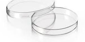 ETO Sterile Petri Dish