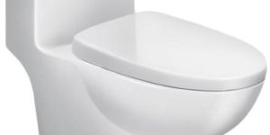 One Piece Water Closet