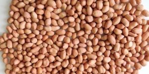 TJ Mix Peanuts, Packaging Type: Jute Bags and PP Bags