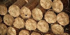 Biomass Briquettes