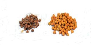 Vacuum Dehydrated Chickpea Sprouts