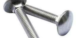 SS Carriage Bolt