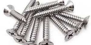 SS Self Tapping Screws