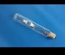 Metal Halide Bulb