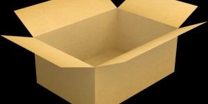 Mono Carton Box