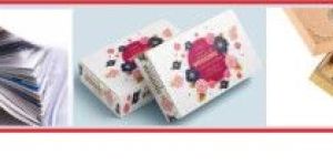 Sea Container Cargo Shipping from All Punjab