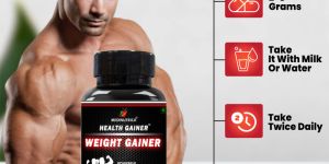 Medinutrica Health Gainer